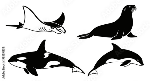Black and White Marine Animals Vector Set: Manta Ray, Seal, Orca, and Dolphin Illustrations