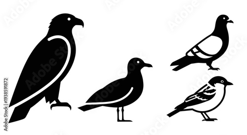 Black bird silhouettes set: eagle, seagull, pigeon, and small bird icons on white background