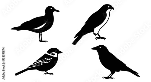 Black Bird Silhouettes Set: Diverse Species Icons on White Background