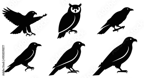 Black Bird Silhouettes: Eagle, Owl, and Raven Vector Icons Collection