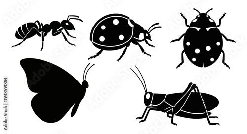 Black silhouettes of diverse insects: ant, ladybug, butterfly, grasshopper, and beetle icons