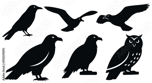Collection of Bird Silhouettes: Crow, Eagle, Gull, and Owl Vector Set