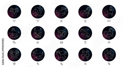 Collection of Zodiac Signs in Circular Starry Night Designs.