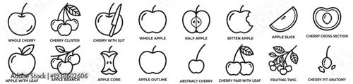 apple and cherry outline vector icon set, fruit whole slice half core branch and cluster line illustrations isolated on transparent background