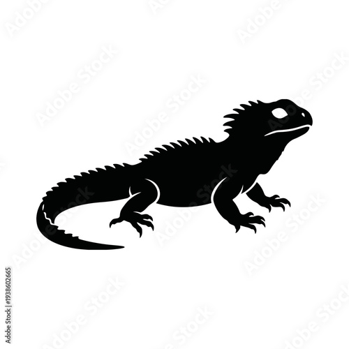 A green iguana reptile is a small wild dragon lizard isolated on a white background, featuring a long tail and sharp eye like a prehistoric dinosaur or wildlife animal in nature
