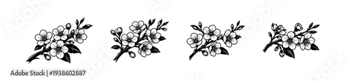 Black and white floral illustration set of cherry blossom branches silhouette