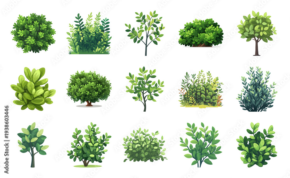 Fototapeta premium PNG Lush green foliage collection on transparent background