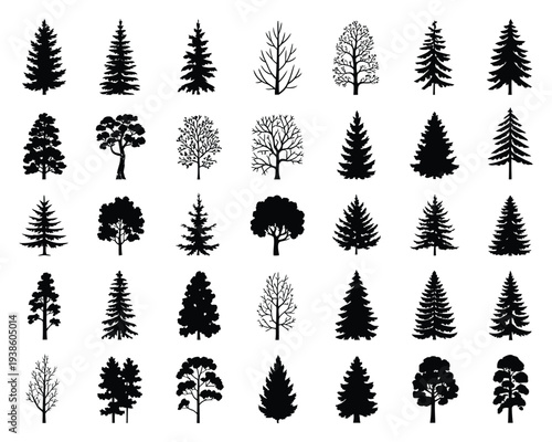 Canadian Pine Tree Silhouette Set Vector Illustration, Different Evergreen Conifer Tree Shapes Isolated on White Background for Forest Landscapes, Nature Graphics, Outdoor Designs, and Botanical Theme
