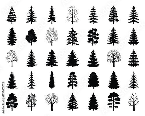 Canadian Pine Tree Silhouette Set Vector Illustration, Different Evergreen Conifer Tree Shapes Isolated on White Background for Forest Landscapes, Nature Graphics, Outdoor Designs, and Botanical Theme