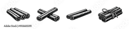 Vintage style cinnamon stick vector set with engraved illustration silhouette elements