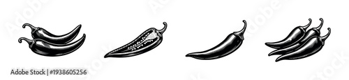 Vintage black and white chili pepper illustrations set for culinary designs