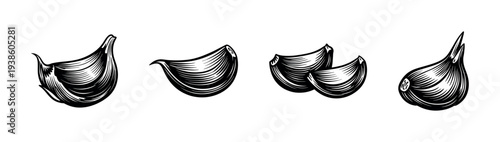 Black and white garlic cloves illustration vector silhouette of botanical elements