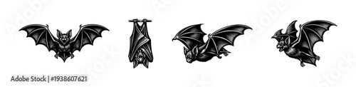Black and white vector illustration of bats in various poses silhouette clipart