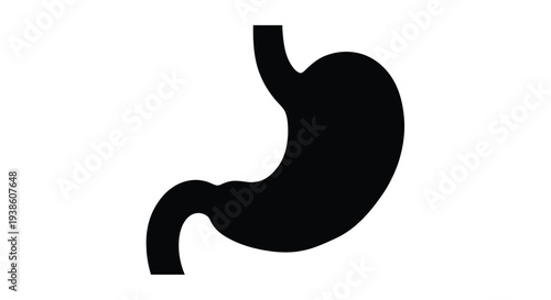Simple black silhouette of a human stomach medical diagram illustration