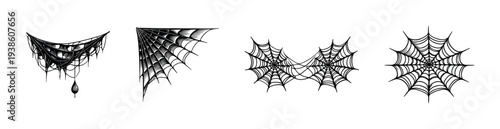 Black and white spider web vector set, intricate web designs for halloween themes