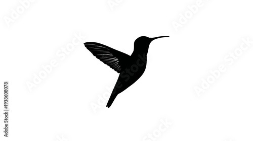 Graceful black flying hummingbird silhouette, minimal vector style bird icon design on a clean white background.
