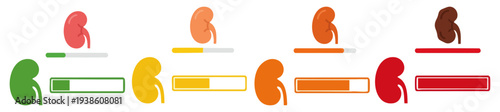 CHRONIC STAGE - Kidney icon with a progress bar showing levels  Flat Vector Illustration on Transparent Background