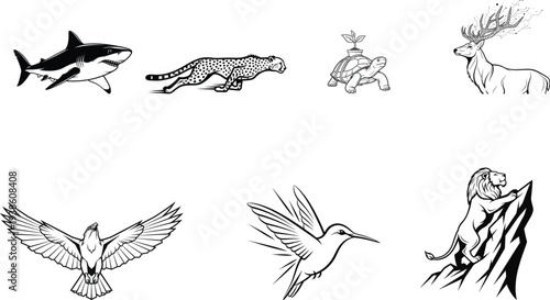 Collection of diverse animal illustrations featuring marine and terrestrial species