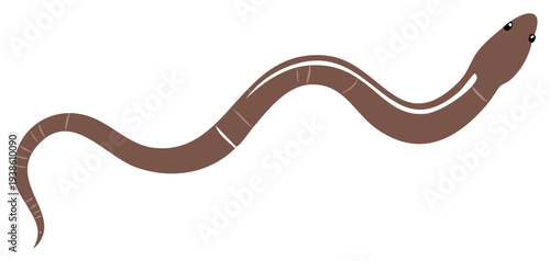 Cartoon earthworm wiggling, brown worm with segments, kids animal character
