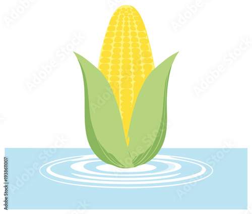 Cartoon illustration of corn on the cob with water effect