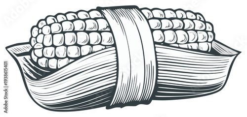 Harvested corn ear artwork rendered with precise engraving details and a monochromatic vintage aesthetic