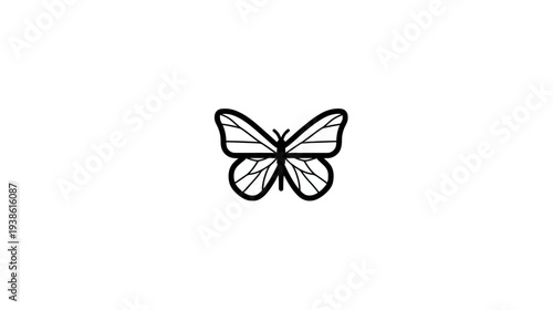 A symmetrical butterfly illustration in black lines, set against a stark white backdrop