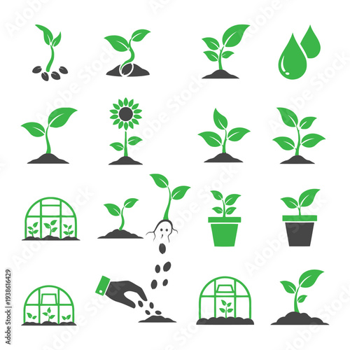 Various stages of plant growth illustrated in green icons across different environments and care methods are depicted.