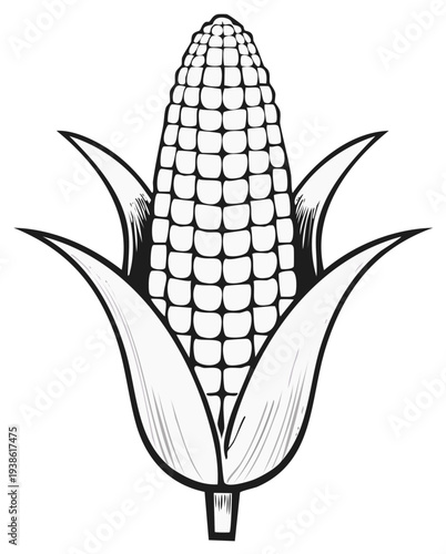 Vector art of an ear of corn with husks, a simple black and white line drawing