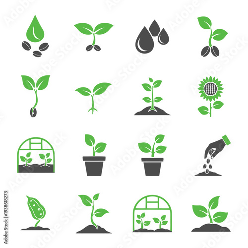 Growing plants from seeds to mature stage in various environments and containers
