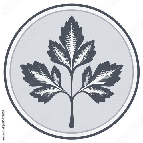 Parsley leaf icon in round frame. Botanical herb illustration. Minimalist garden seasoning ingredient vector emblem for food market or restaurant.