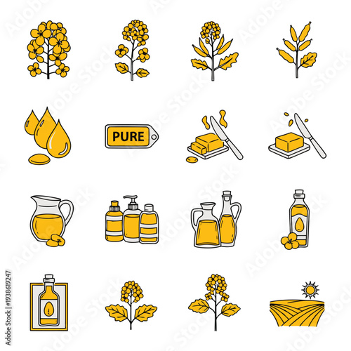 Illustrations of olive oil production process from harvesting to bottling in various containers