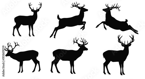 Multiple deer in various poses a striking black silhouette