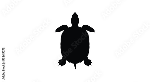 A striking black silhouette of a turtle from a top view silhouette