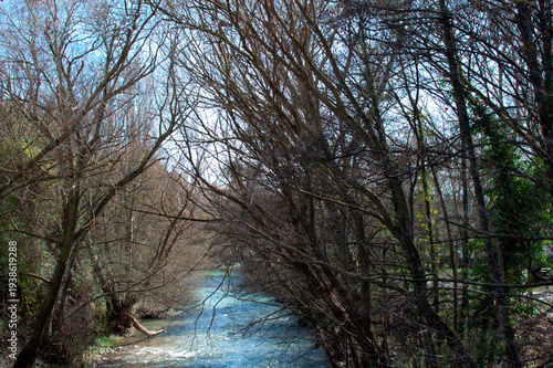 The Arga River winds between bare trees in winter