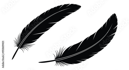 Two black feathers floating gently in a minimalist design silhouette