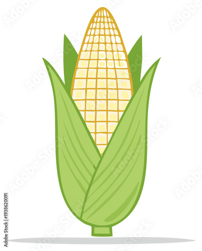Fresh yellow corn cob with green husks detailed illustration graphic art