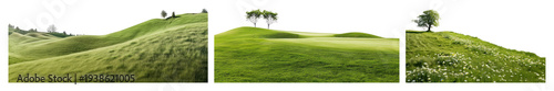 PNG Serene green rolling hills landscape, transparent background