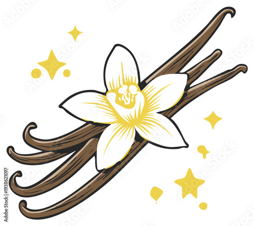 Vanilla pods and flower illustration with sparkling stars, food flavoring ingredient drawing