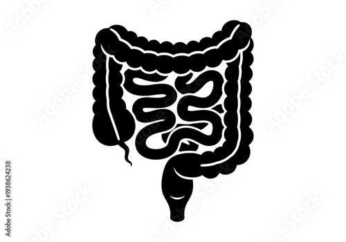 A really simple but perfect black silhouette of human large intestine for medical concepts