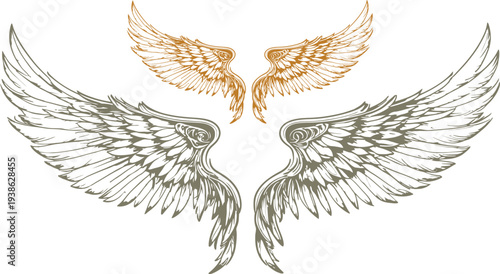 Angel wings illustration with golden and grey feathered wings