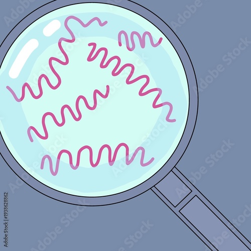 Treponema pallidum under the microscope