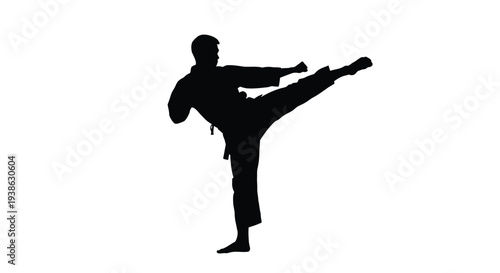 Martial artist performing a high kick in a dynamic silhouette pose