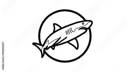 A black and white illustration of a shark within a circular frame, set against a blank background