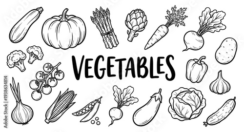 Vegetable doodle set with pumpkin corn and garden harvest