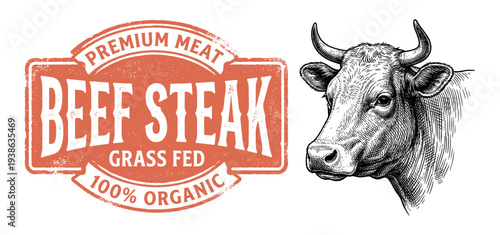Beef steak vintage engraving logo with cow head and label