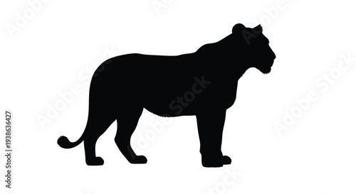 A striking black silhouette of a majestic lion in profile silhouette