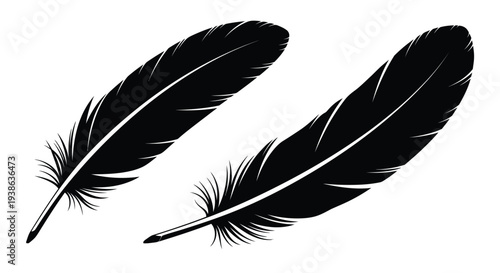 Two black feathers displayed on a white background silhouette