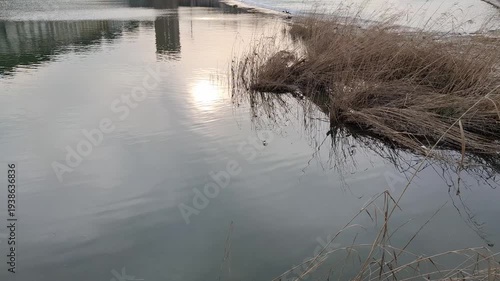 A quiet river with gentle ripples, reeds along the bank, and a soft reflection of the sunset. Minimalist nature video, peaceful landscape.