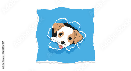 A small, white and brown puppy with a pink tongue peeks playfully forward through a jagged, star-shaped tear in a vibrant blue sheet.