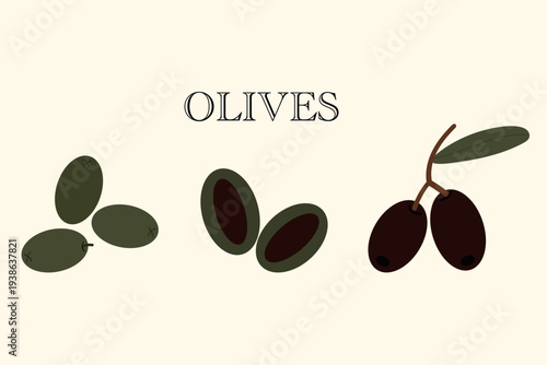 Vector Olive Set: Green and Black Olives, Sliced and Pitted, Whole Olives on Branch. Mediterranean Organic Food Elements for Packaging, Menu Design, and Healthy Lifestyle Illustration.